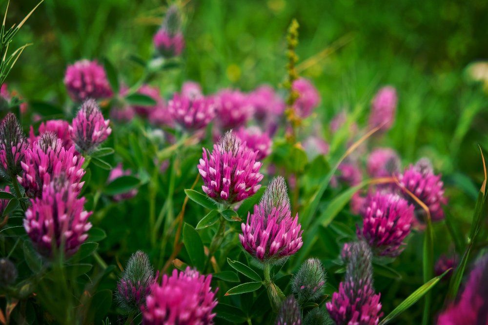 Фотография автора A.M. Photo