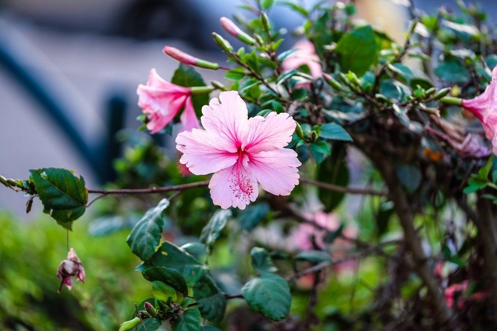 Фотография автора A.M. Photo