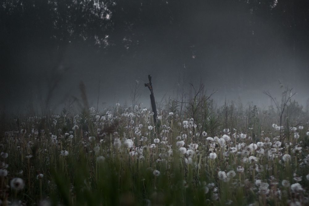 Photograph by Станислав Петров