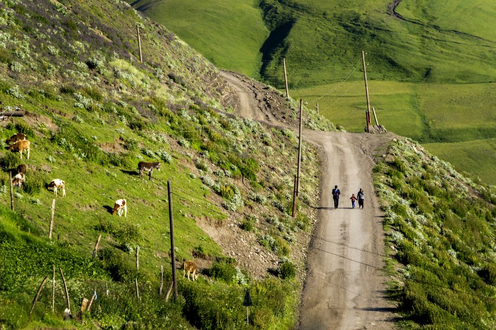Абсолютное счастье
