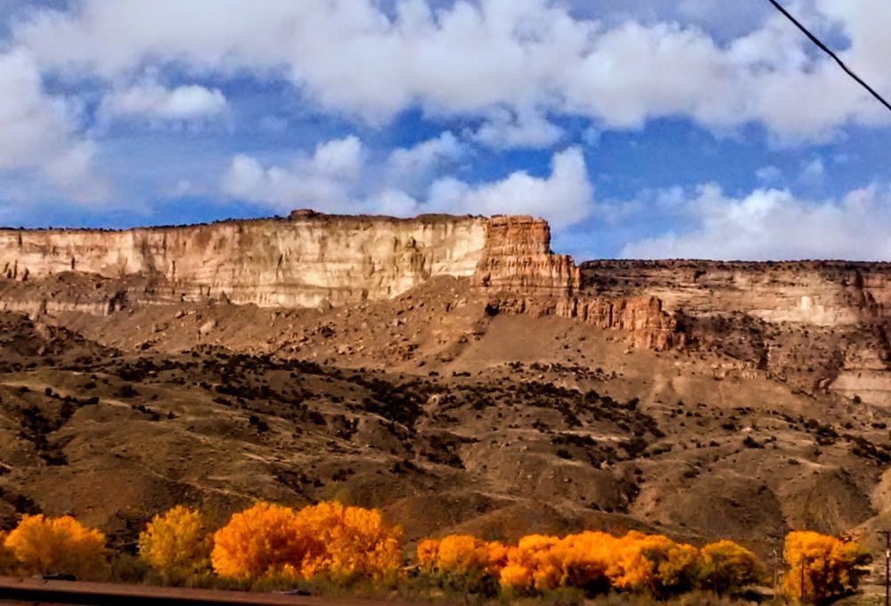Photograph by Cheri Shelton