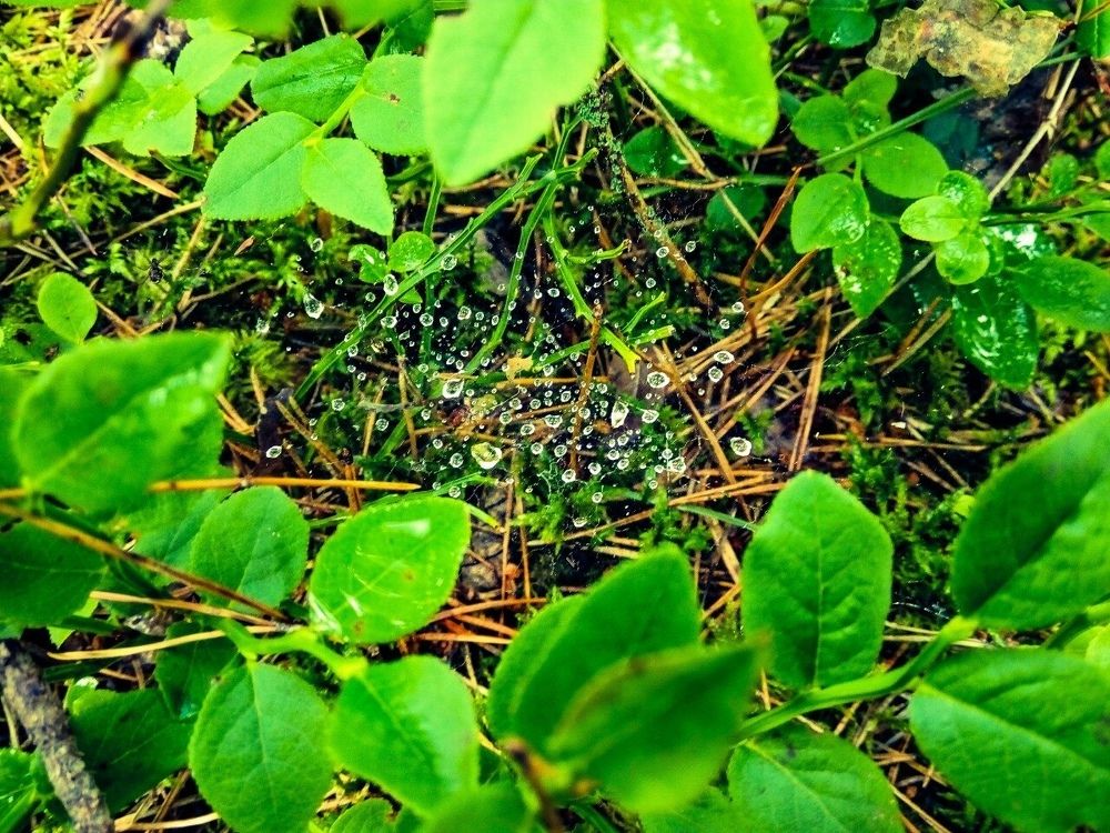 Красота в глазах смотрящего