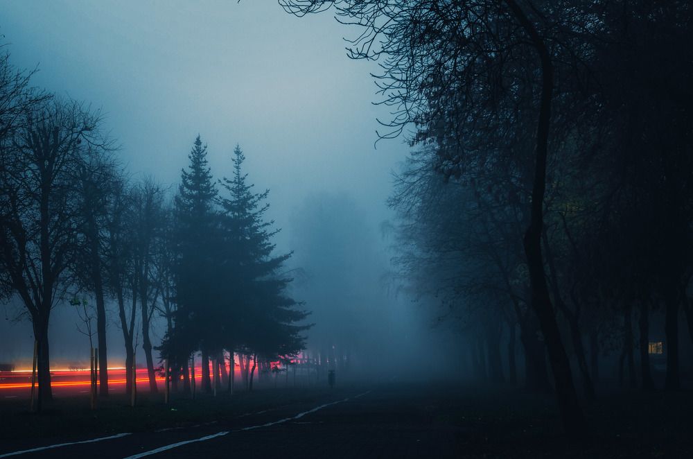 Photograph by Евгений Новицкий