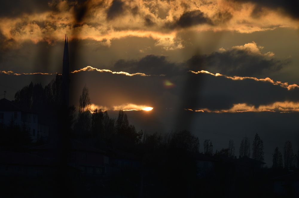 Sunshine