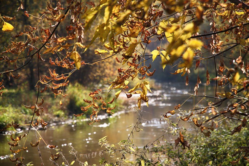 Осень в Подмосковье
