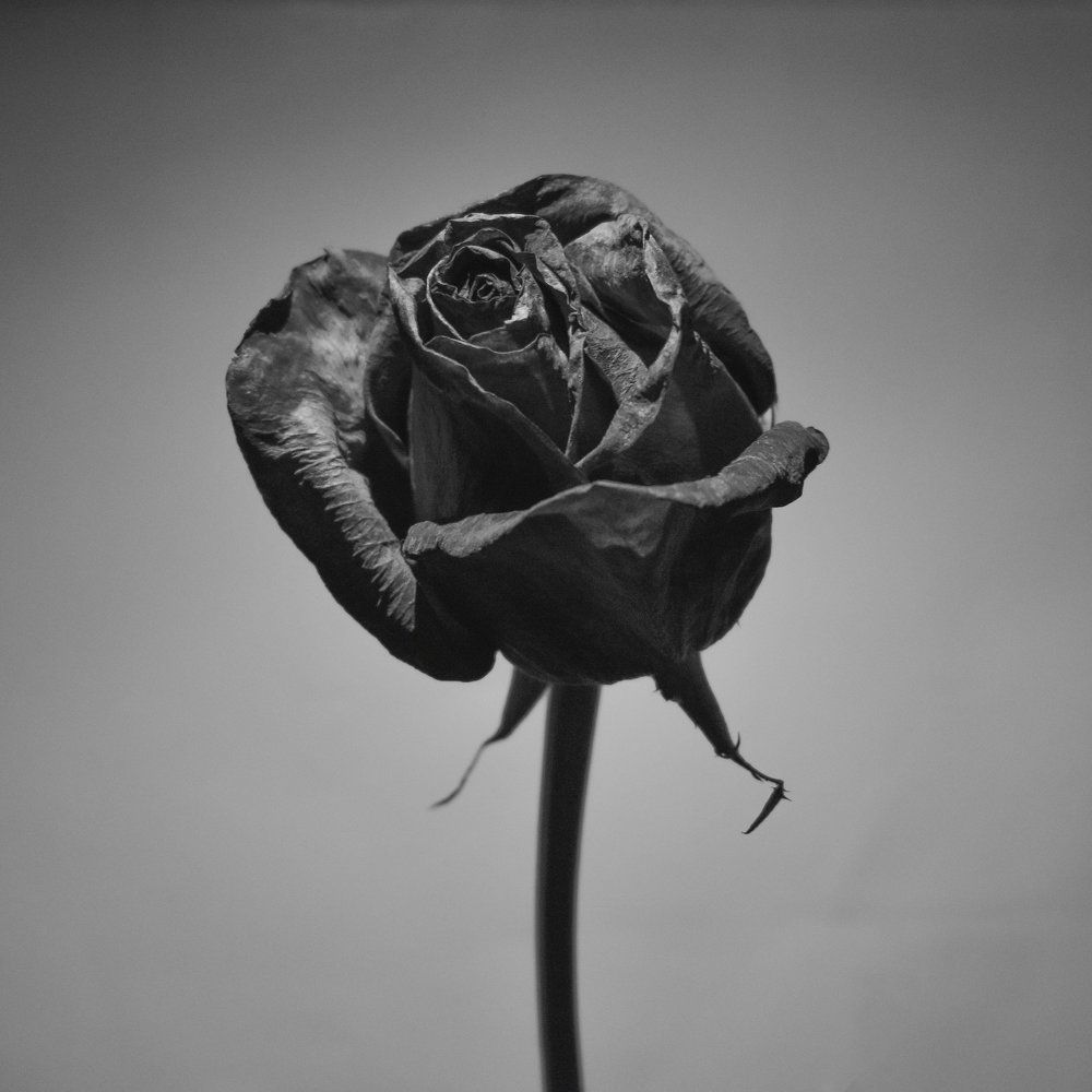 Спустя время.