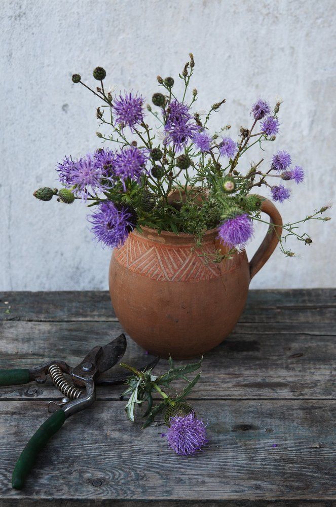 колючее настроение