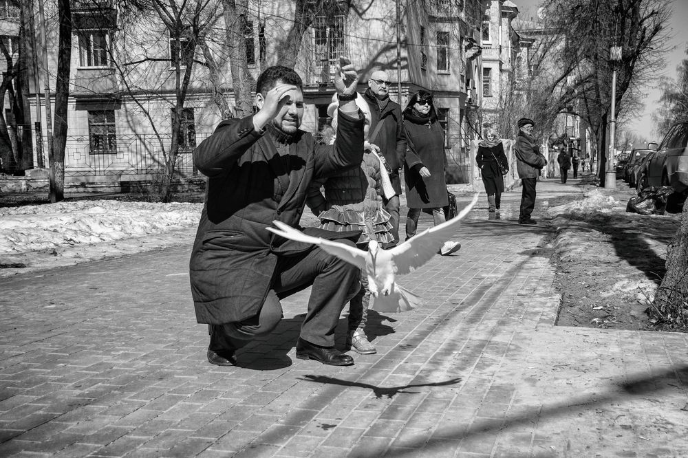 Белый голубь