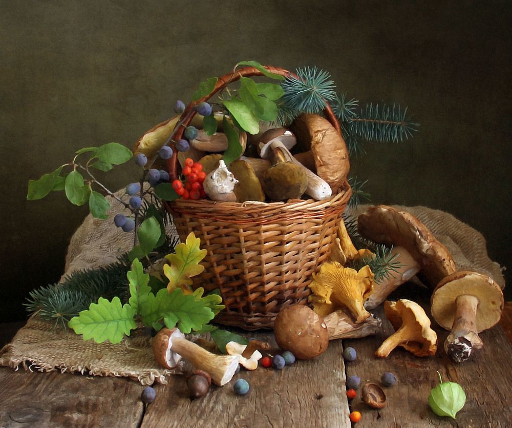 ГРИБНАЯ ОХОТА