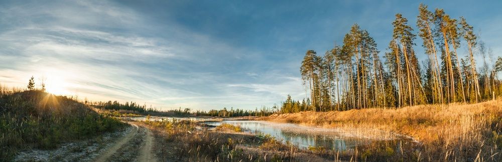 Фотоохота - водопой