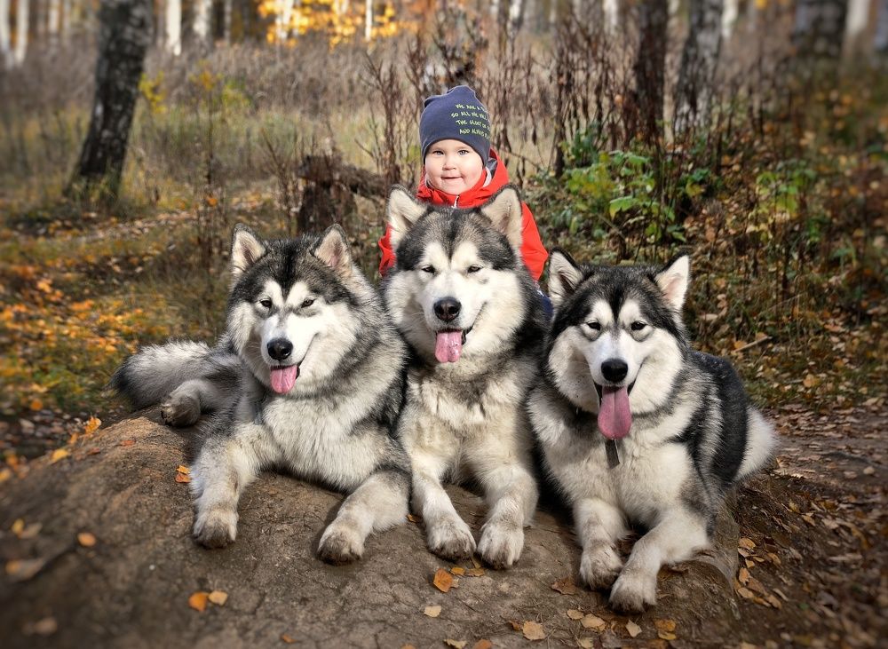 Photograph by Nastya Guseva