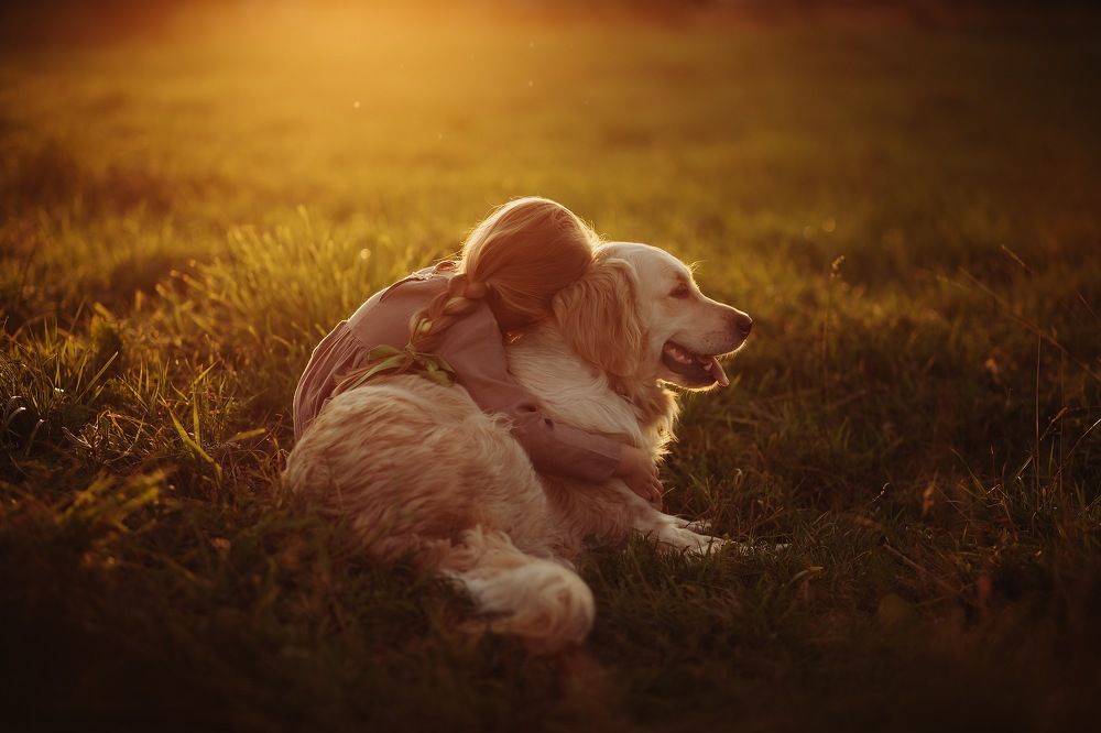 Золотой свет, золотая собака, золотое ДЕТСТВО!