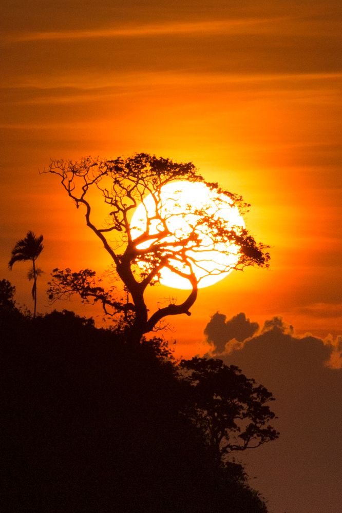 Our Sun, the Giver of Life