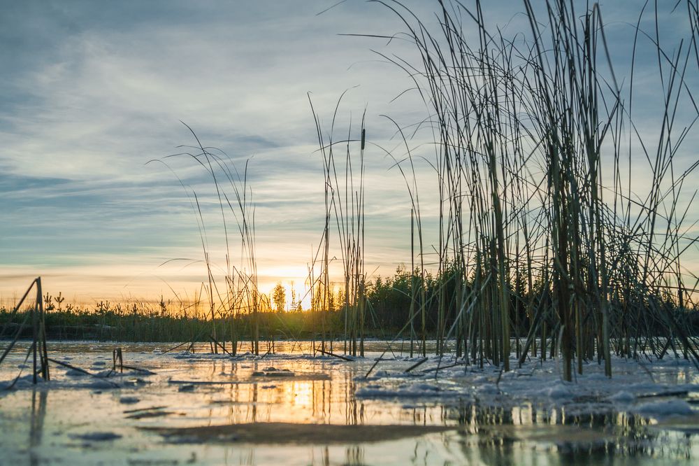Застывшее время