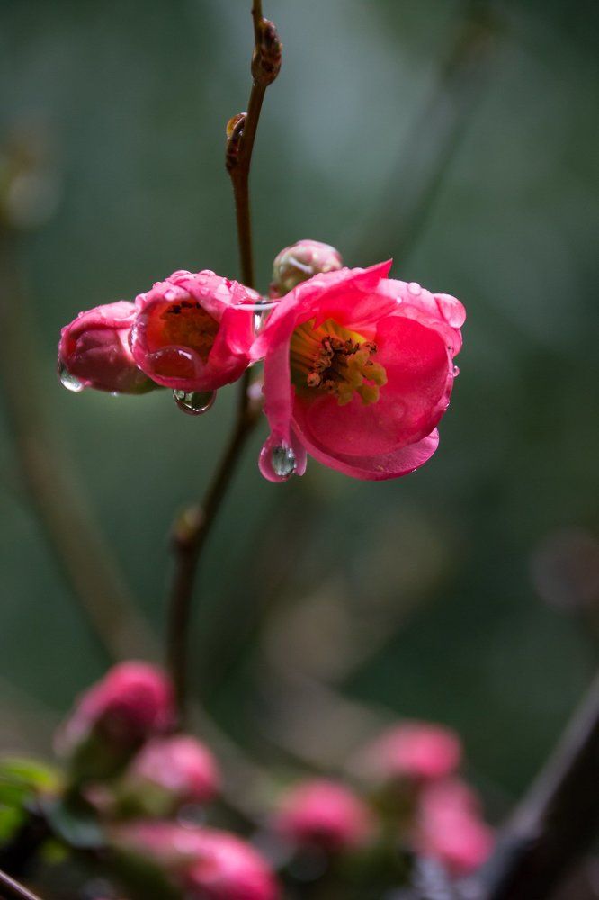 Photograph by Надежда Яхонтова