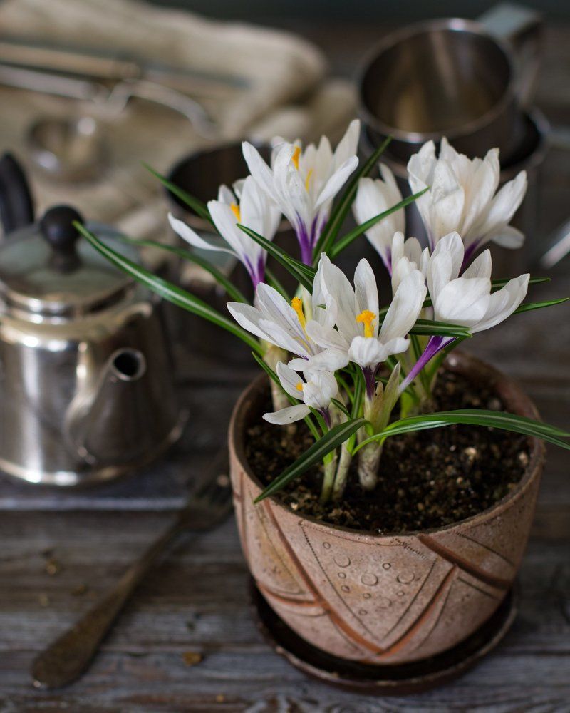 Photograph by Надежда Яхонтова