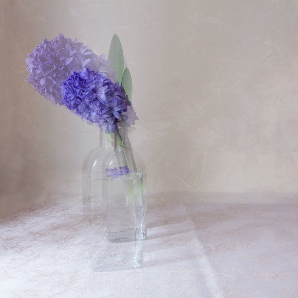 Немного грустная весна