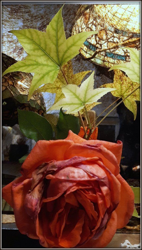 Photograph by Emil Zivanov