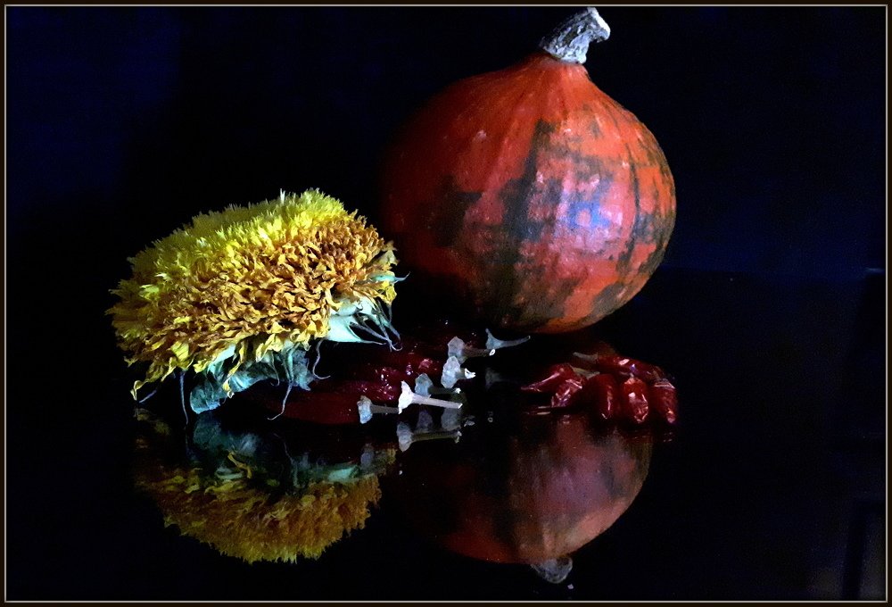 Photograph by Emil Zivanov