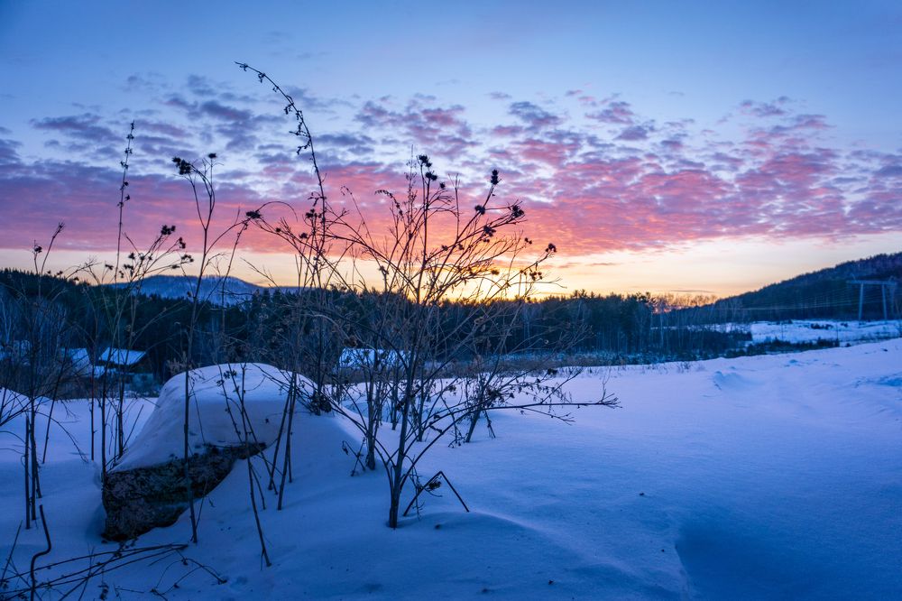 Как-то зимним вечером за городом