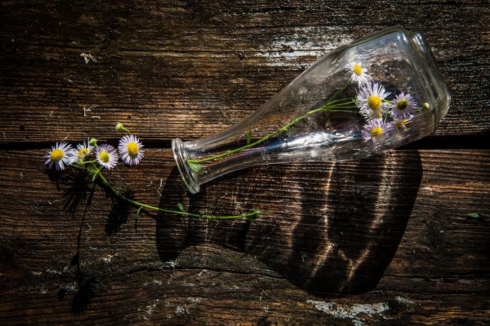 Photograph by Юлия Ла