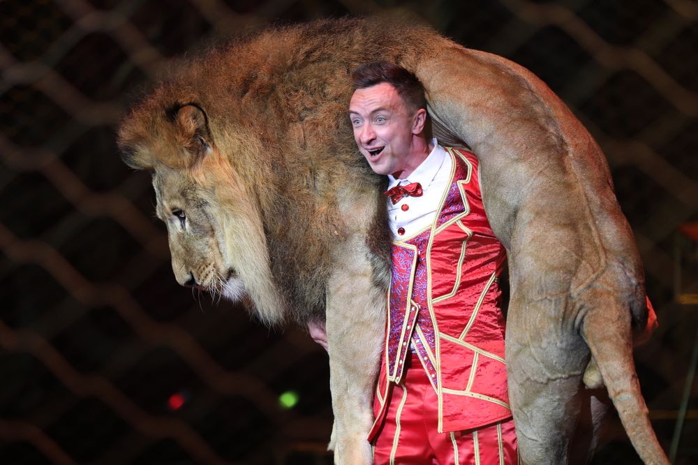 Один среди львов