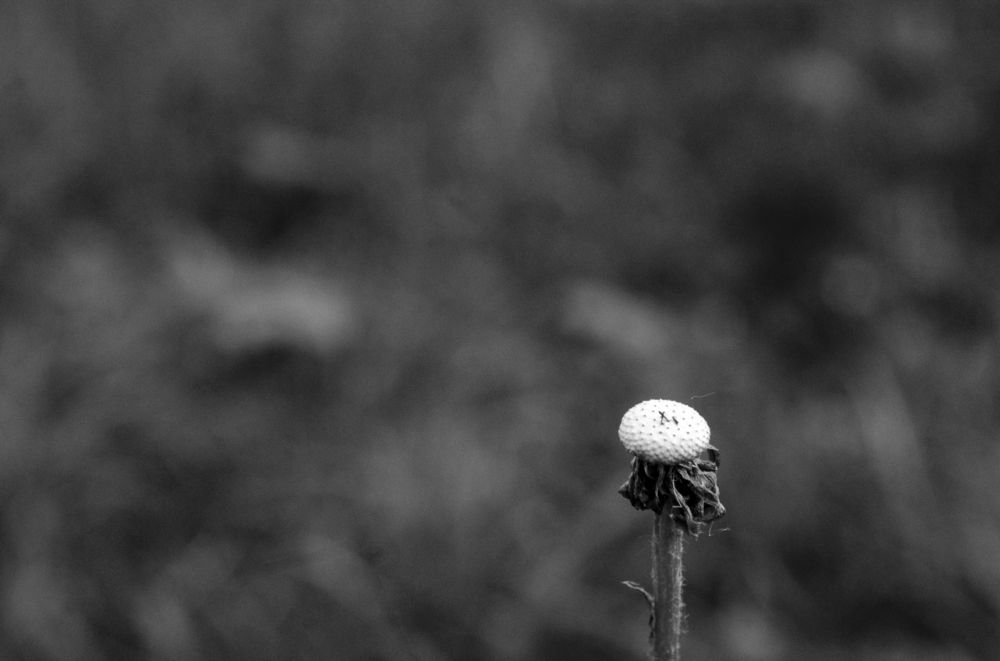 Photograph by Maryan Magola