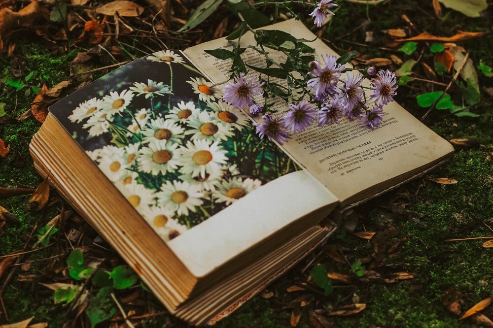 Photograph by Ольга Григорьева