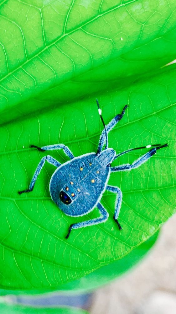 Photograph by Satyanand Kanchupalli