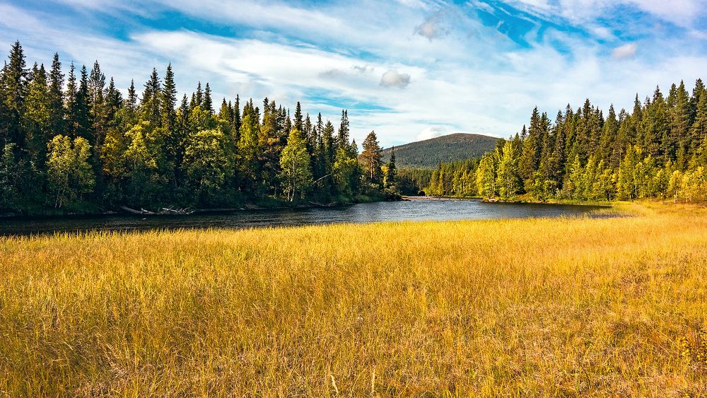 Домашние Тундры