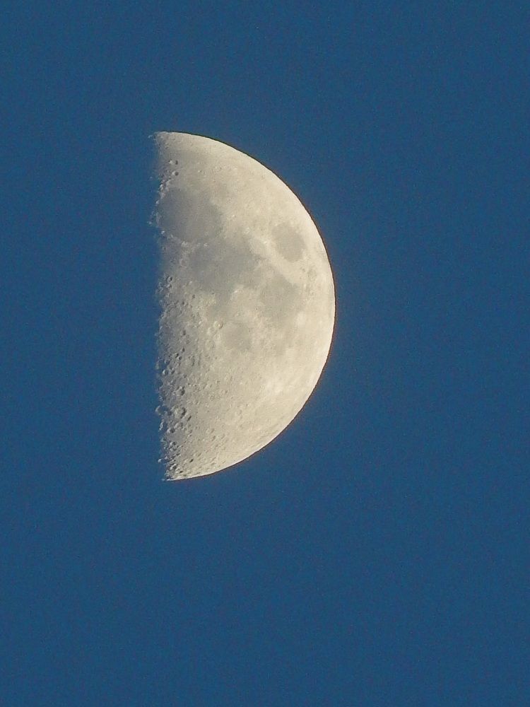 Photograph by Татьяна