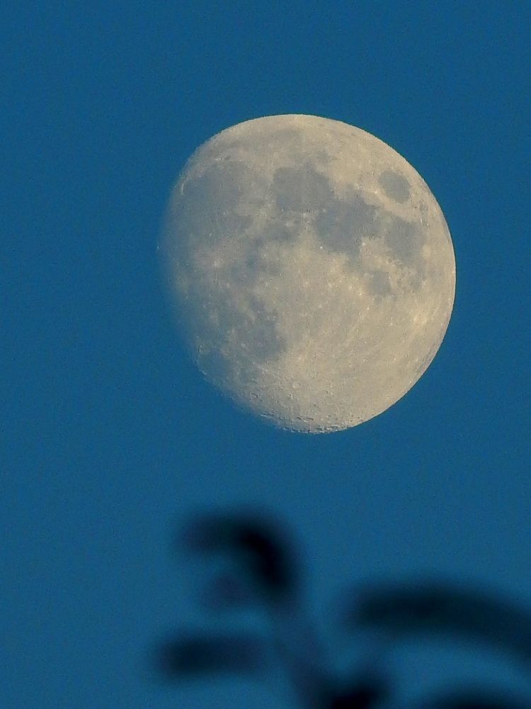 Photograph by Татьяна