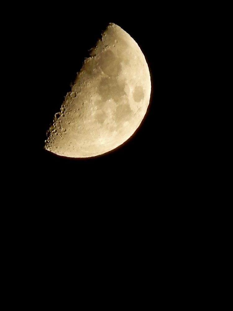 Лунный чебурек