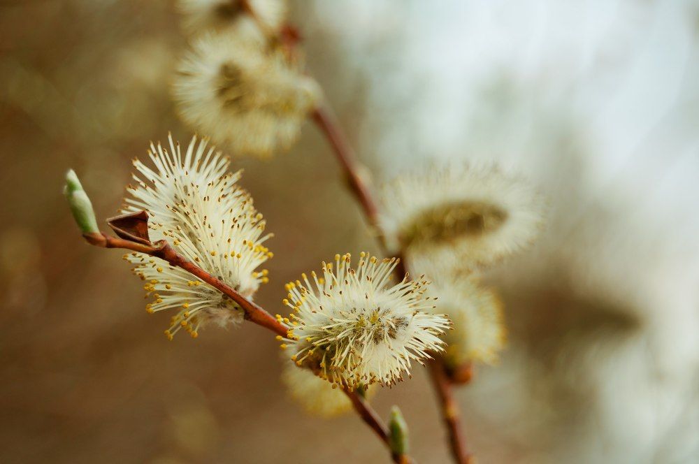 Photograph by Дмитрий Сивак