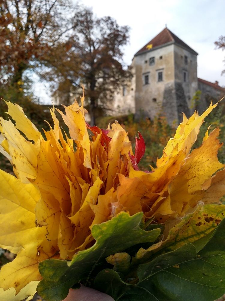 Свірзький замок/ Свиржский замок / Svirzhsky castle