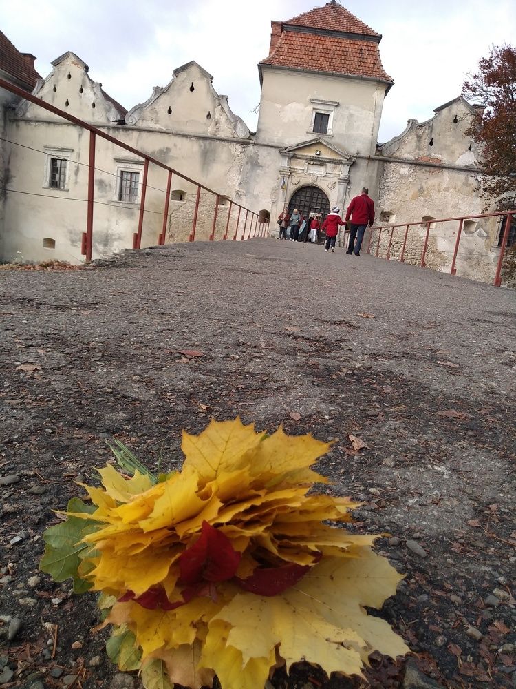 Свірзький замок/ Свиржский замок / Svirzhsky castle