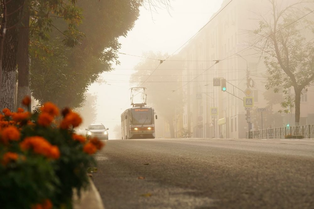 Photograph by Александр Попов