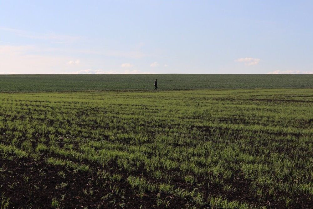 Photograph by Polina Sharapova