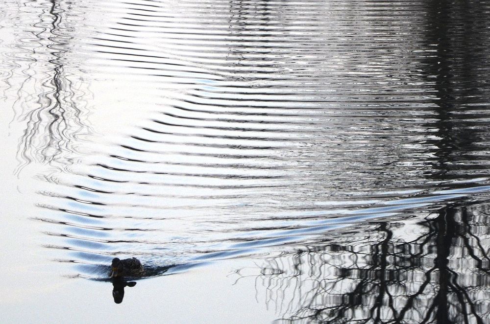 оставляя след