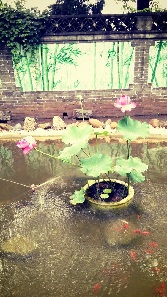 Photograph by Ирина Корнева