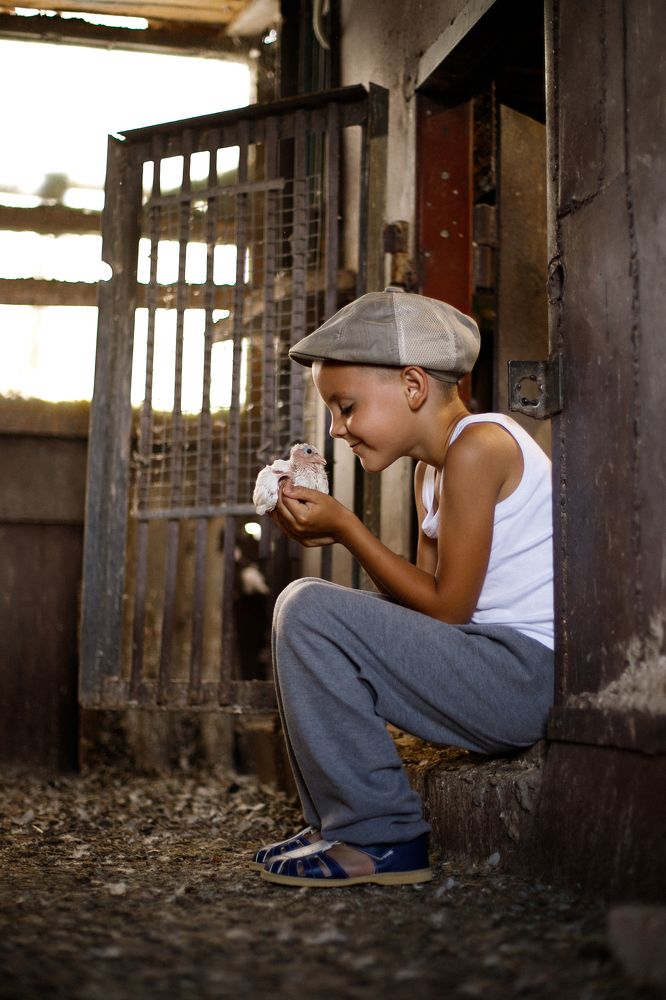 Любовь и голуби.