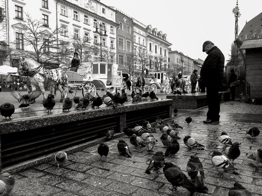 Photograph by Maria Koval