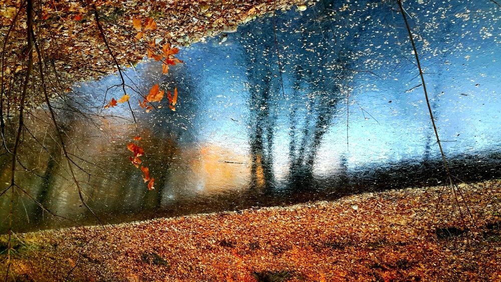 Первые заморозки