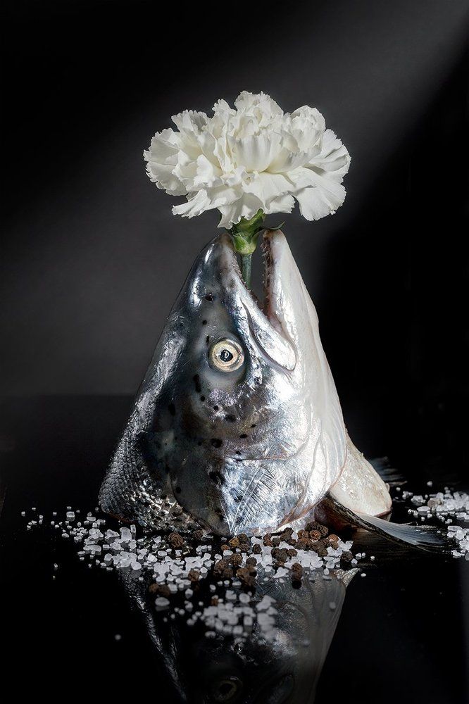 Белая гвоздика