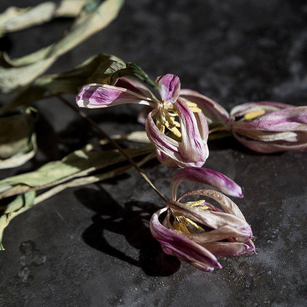 Прошлогодний букет