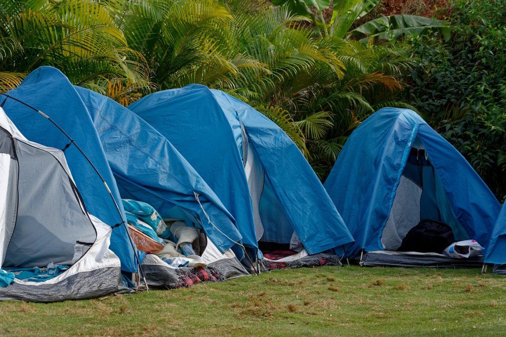 Tents at a picnic spot