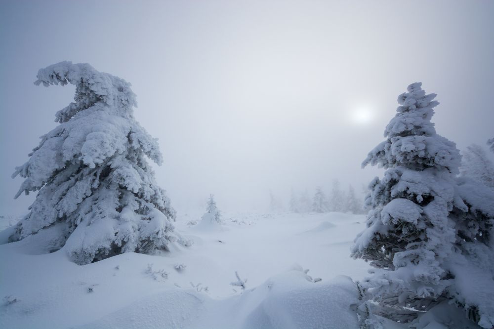 Немного солнца