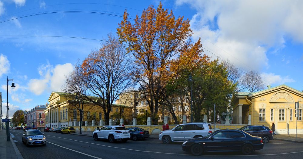 Последнее золото