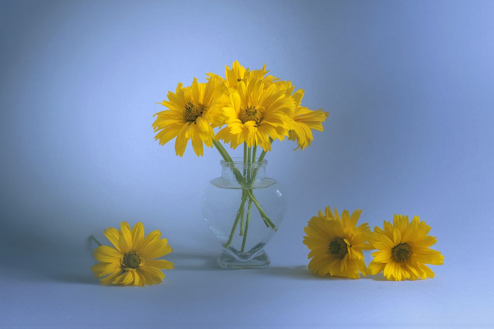 Photograph by Юлия Шестопалова