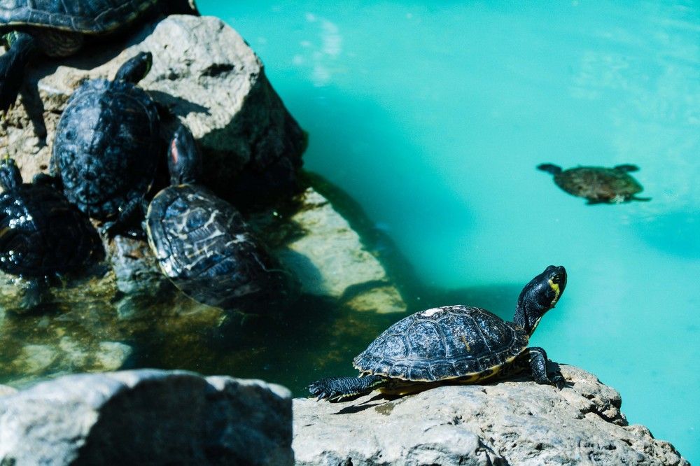 Солнечный день